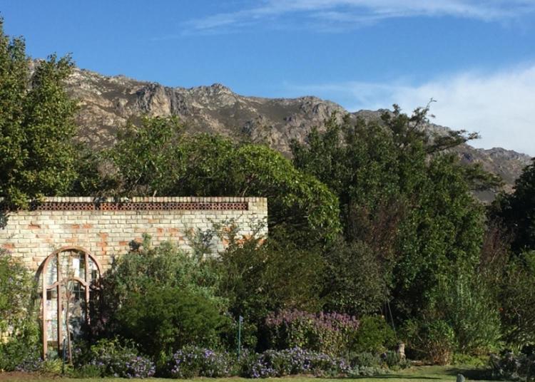 Watermill Studios Gordons Bay Ngoại thất bức ảnh