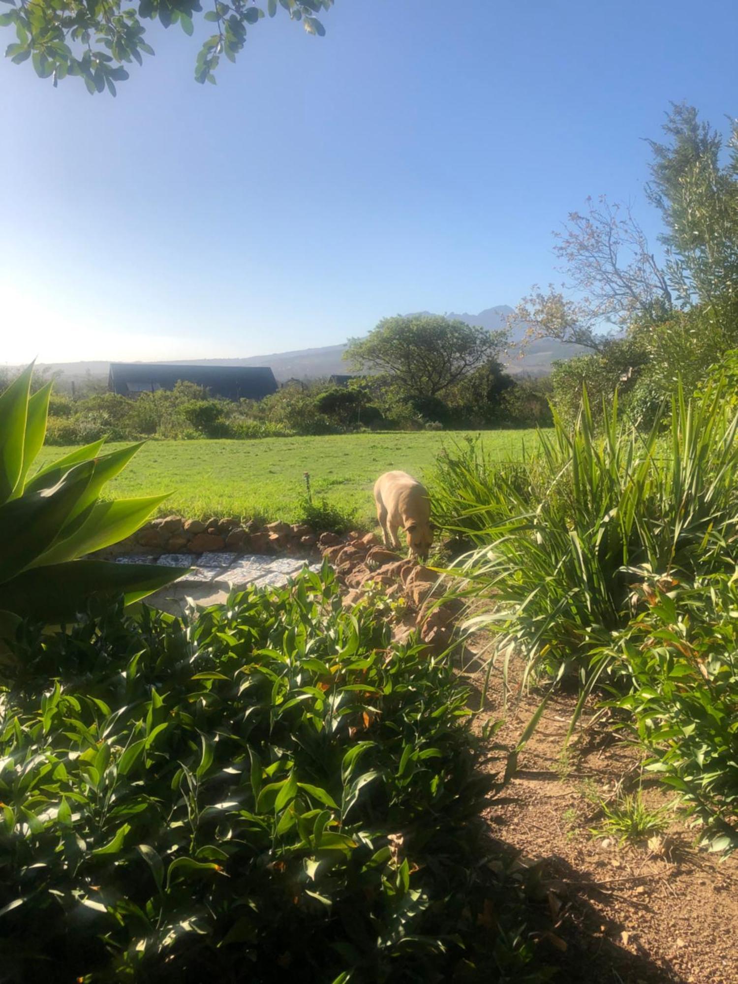Watermill Studios Gordons Bay Ngoại thất bức ảnh